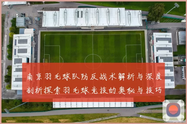 南京羽毛球队防反战术解析与深度剖析探索羽毛球竞技的奥秘与技巧