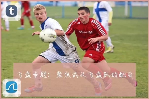 飞盘专题：聚焦武汉飞盘队的配合