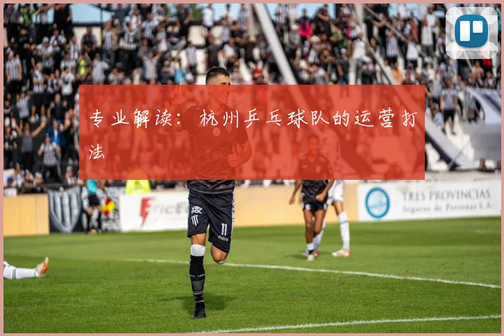 专业解读：杭州乒乓球队的运营打法