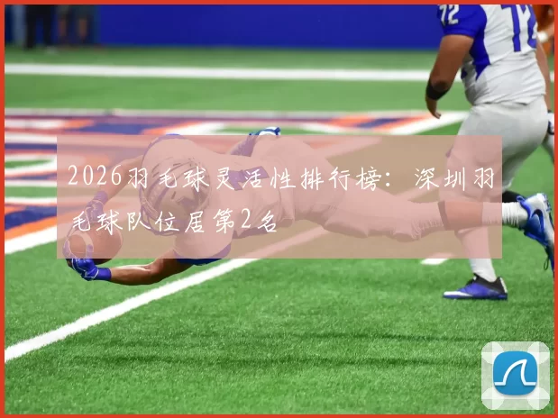 2026羽毛球灵活性排行榜：深圳羽毛球队位居第2名