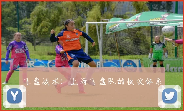 飞盘战术：上海飞盘队的快攻体系