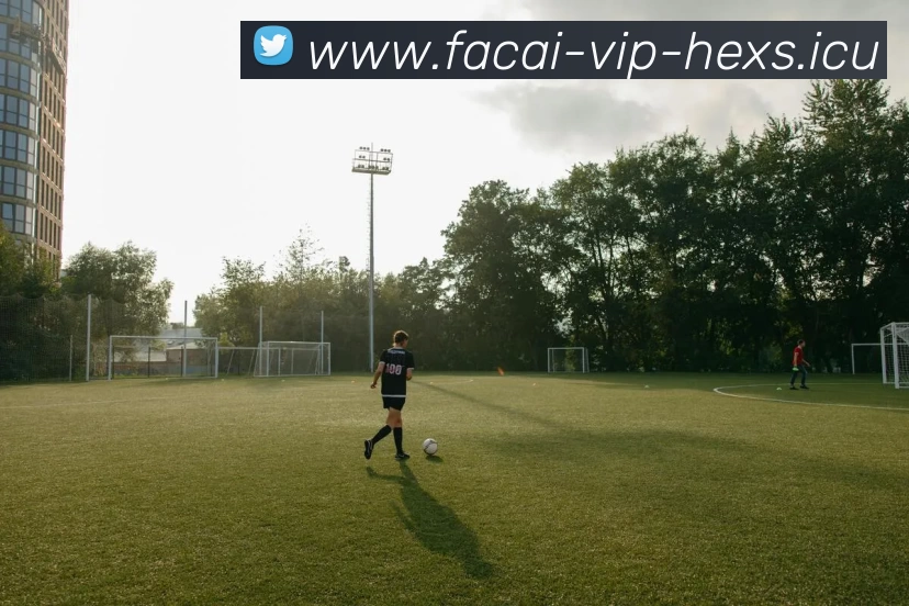 tag/[--tagid--]-[--page--].html平台生态图